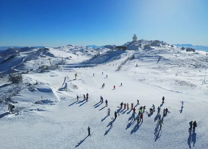 D242 & D243 In Vucko Apartment Jahorina